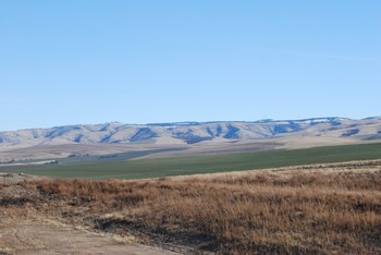 Walla Walla Valley land which is home to Zerba Wine Callers vineyards